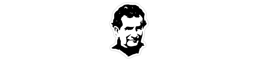 Festa di Don Bosco